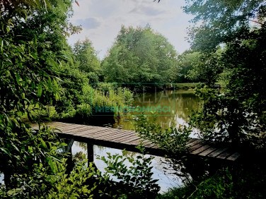 Działka Kozerki