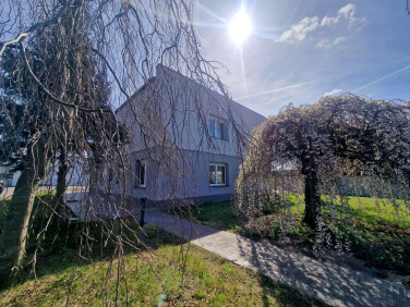 Lokal Poznań