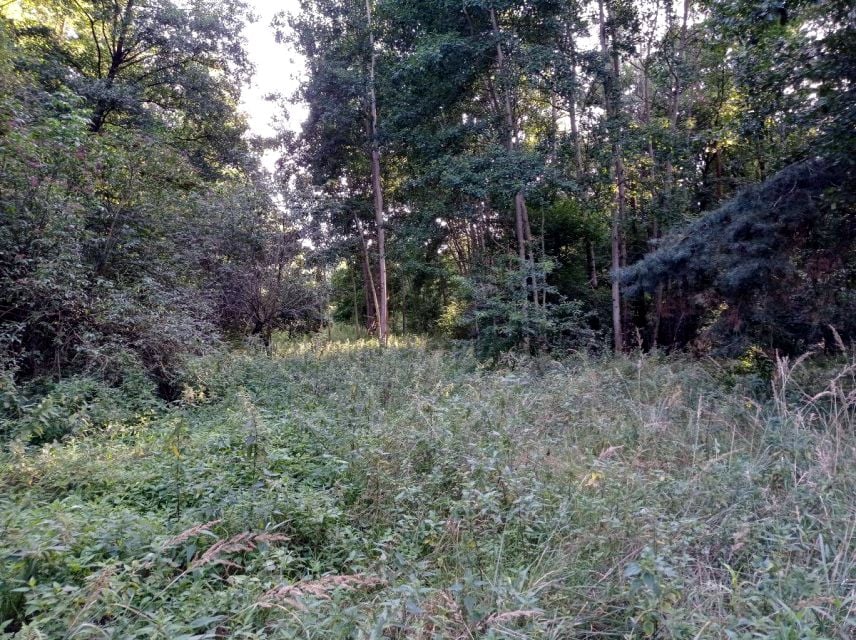Zdjęcie 3