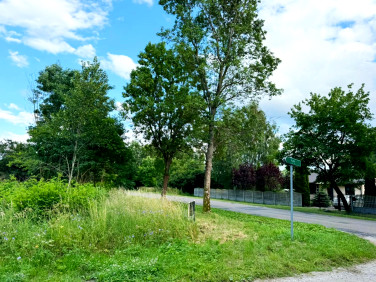 Działka budowlana Wypychów