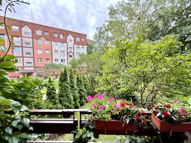 Mieszkanie Szczecin
