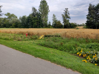 Działka rolna Książnice