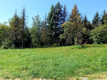 Działka budowlana Burów
