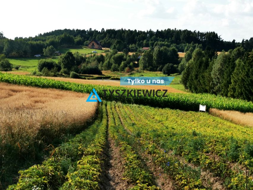 Działka rolna Sikorzyno