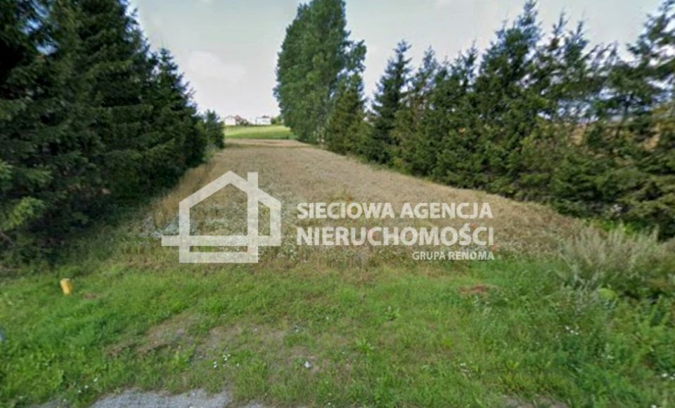 Zdjęcie 2