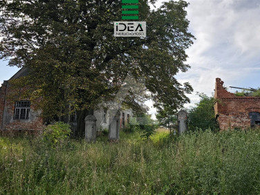 Działka Trzeciewiec