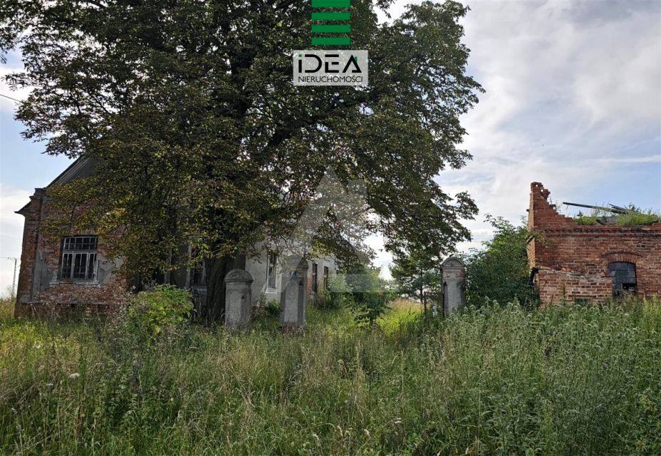 Działka Trzeciewiec