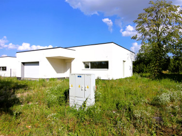 Dom wolnostojący sprzedaż