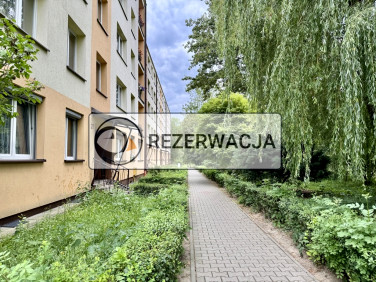 Mieszkanie GLIWICE