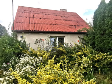 Dom Osiek Mały sprzedaż