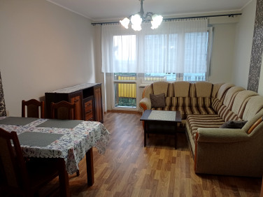 Pokój Toruń