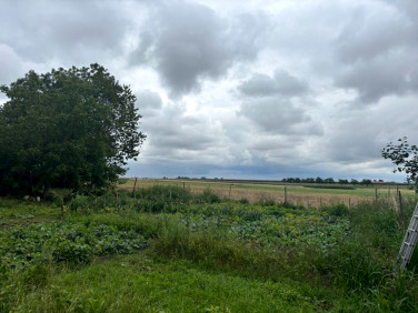 Działka budowlana Drzymałowo