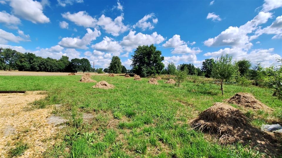 Działka Poręba Wielka
