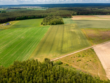 Działka przemysłowa Bielkowo
