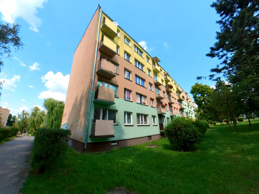 Mieszkanie Brodnica