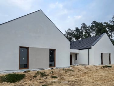 Dom Głusk