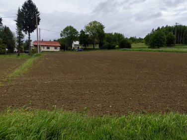 Działka budowlana Jedlicze