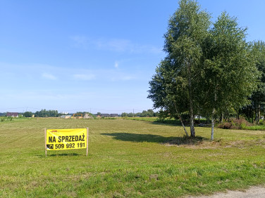 Działka budowlana Orzesze sprzedam
