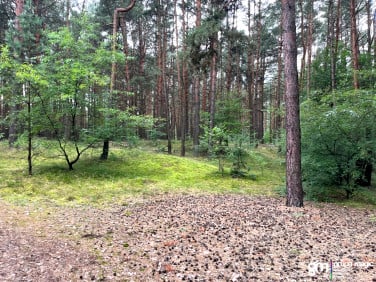 Działka Rożno-Parcele