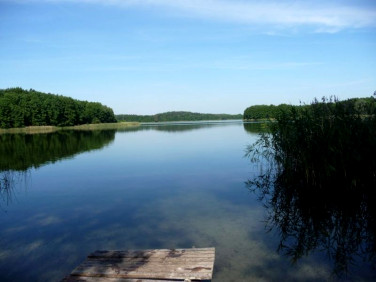 Działka budowlana Pszczew