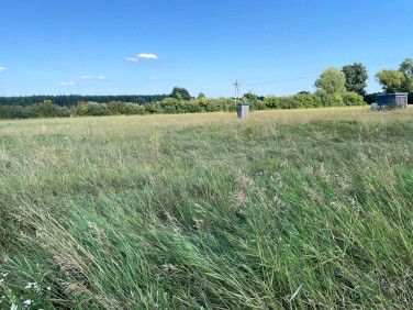 Działka budowlana Studzieniec