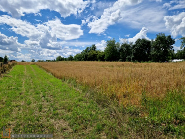 Działka budowlana Kozierów