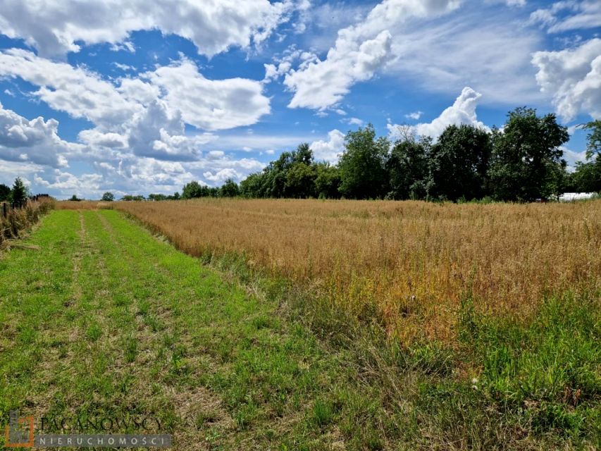 Działka budowlana Kozierów