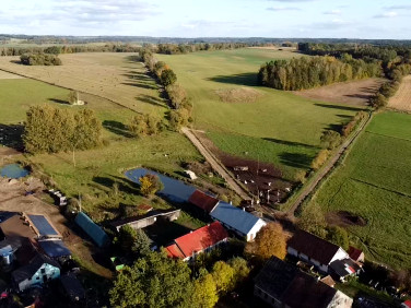 Działka rolna Łozy
