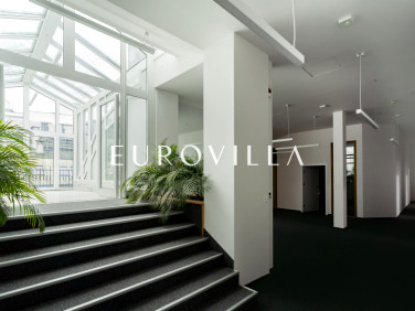 Lokal Warszawa