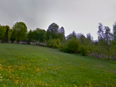 Działka usługowa Rybnik