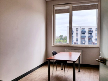 Lokal Szczecin