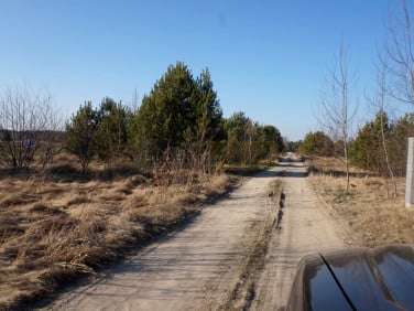 Działka Jesionka