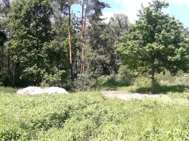 Działka budowlana Zagościniec