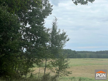Działka rolna Ościęcin