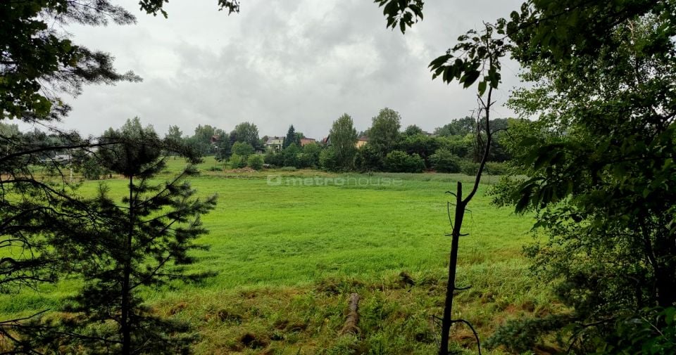 Działka leśna Przegędza