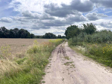 Działka rolna Gorzów Wielkopolski