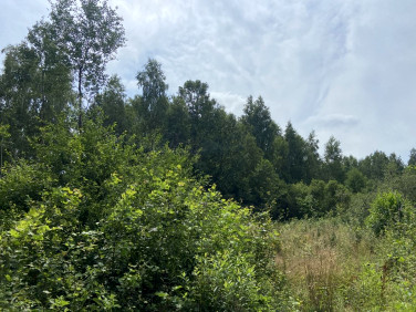 Działka budowlana Mrozy sprzedam