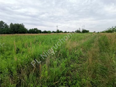 Działka budowlana Michałowice-Wieś
