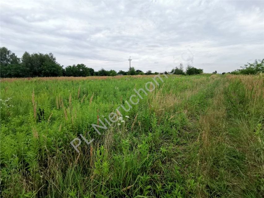 Działka budowlana Michałowice-Wieś