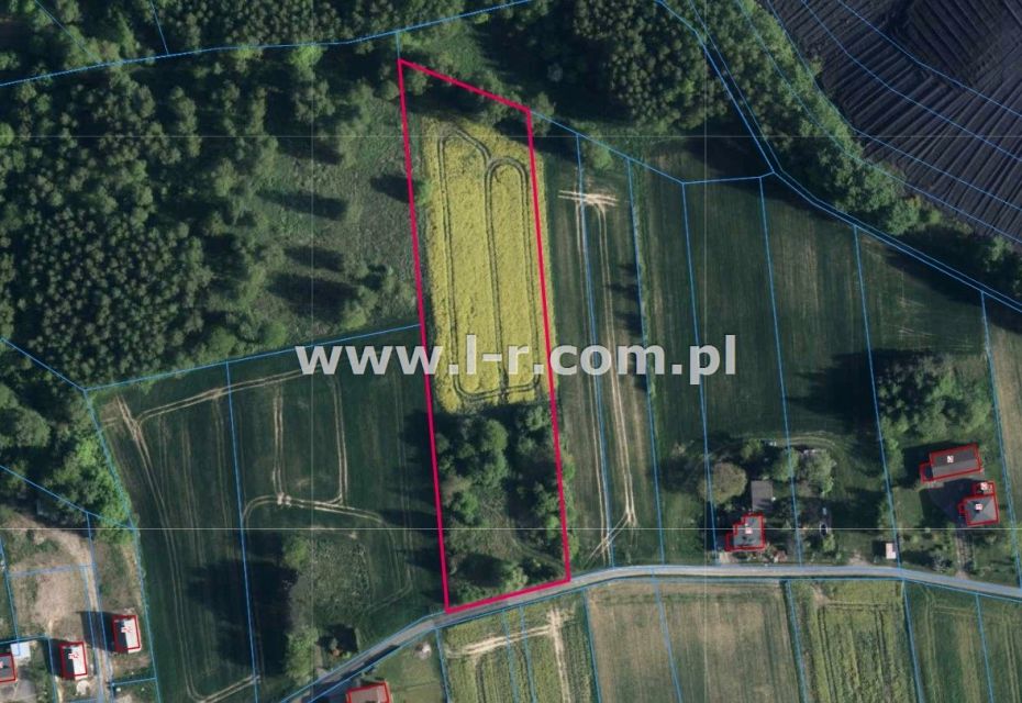 Działka rekreacyjna Gogołowa