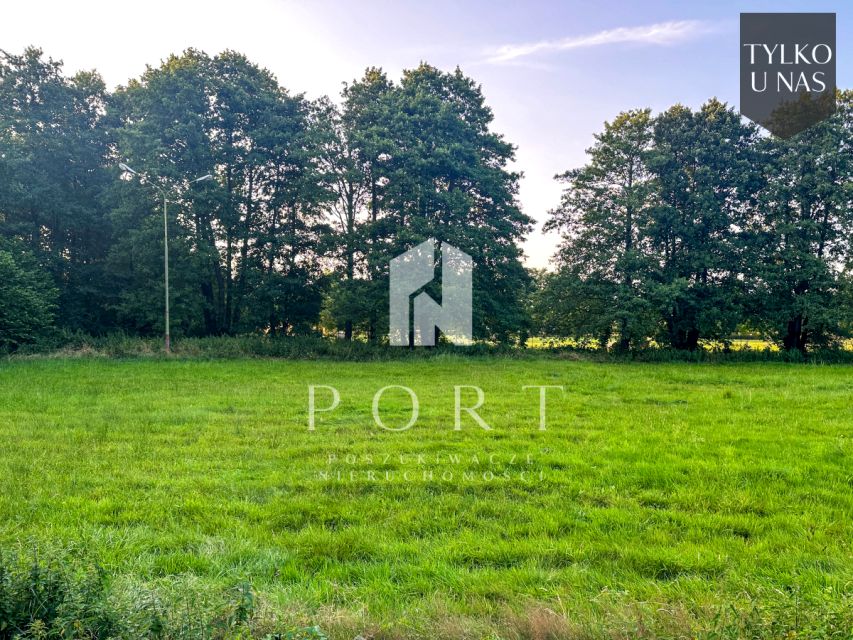 Działka przy lesie