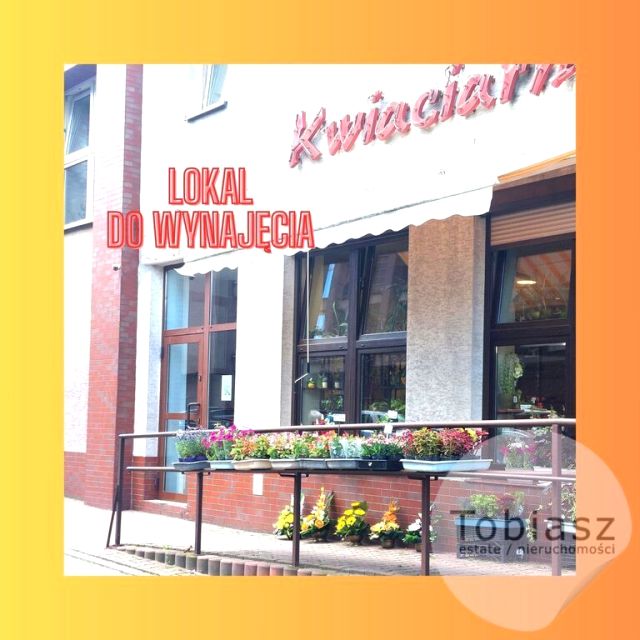 Lokal Kraków