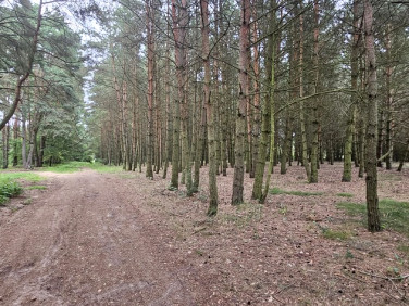 Działka Chełpa