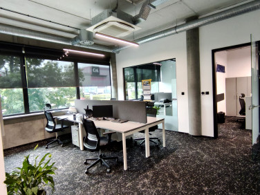 Lokal Katowice