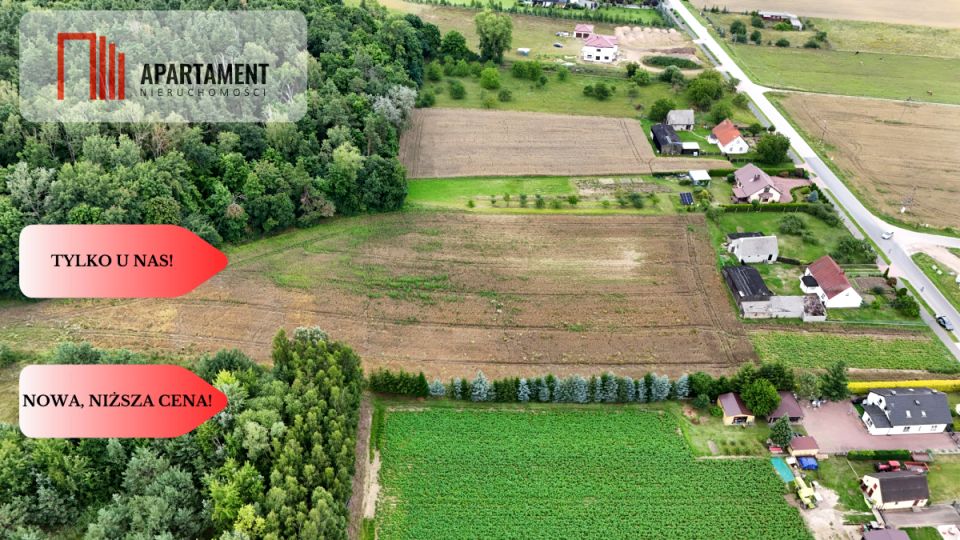 Działka Gruczno