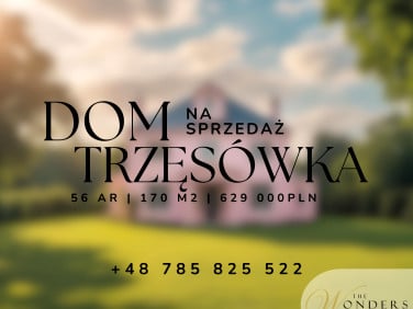 Dom Trzęsówka