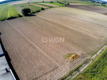Działka inwestycyjna Dębno Polskie