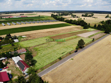 Działka budowlana Zdrzychów sprzedam