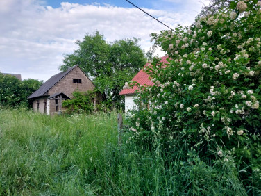 Działka Białogóry