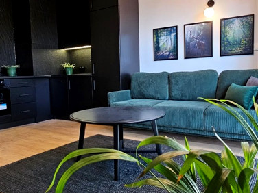 Mieszkanie apartamentowiec wynajem